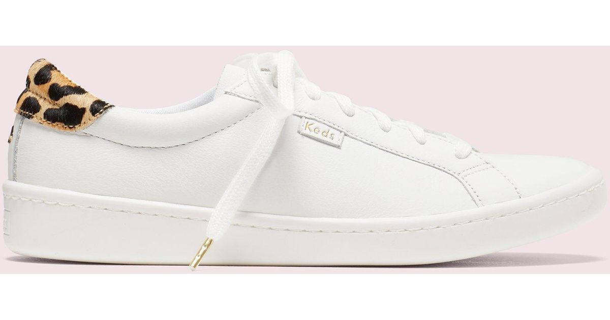 keds x kate spade new york ace leather & leopard sneakers Online Sale