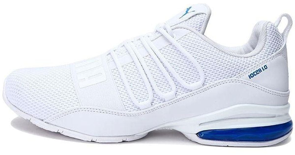 puma cell regulate winterized