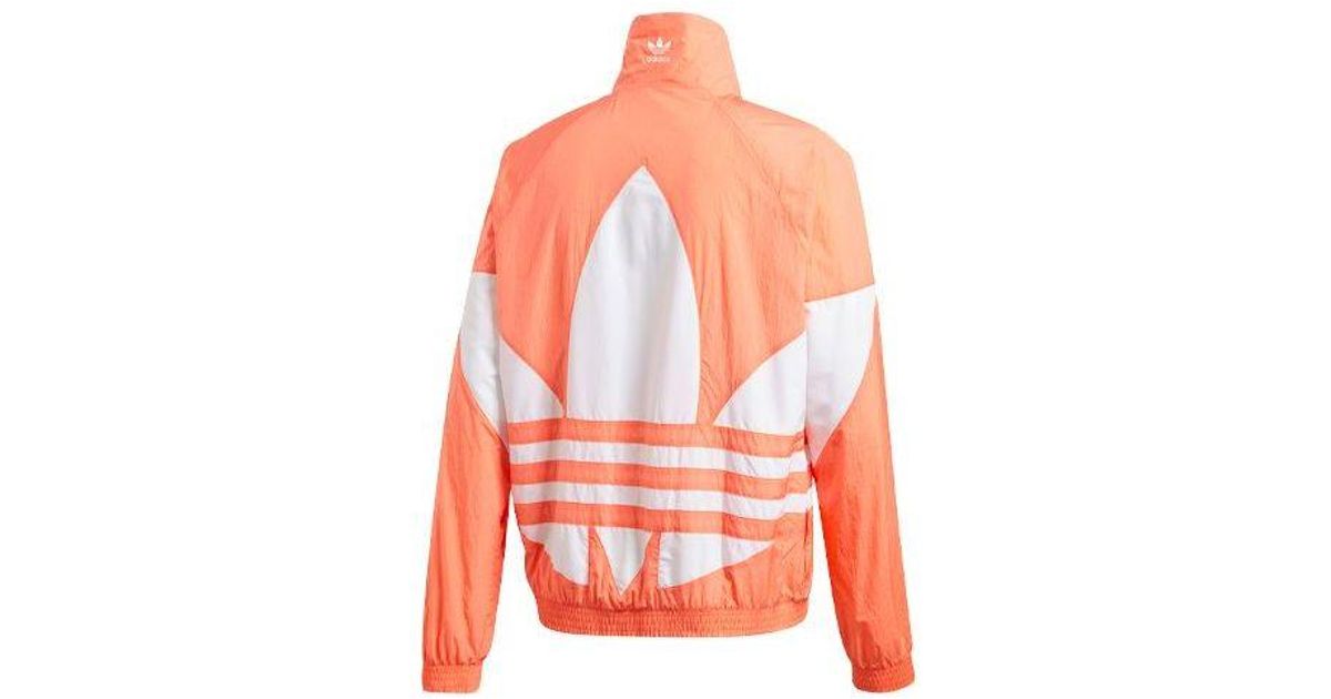 adidas trefoil orange