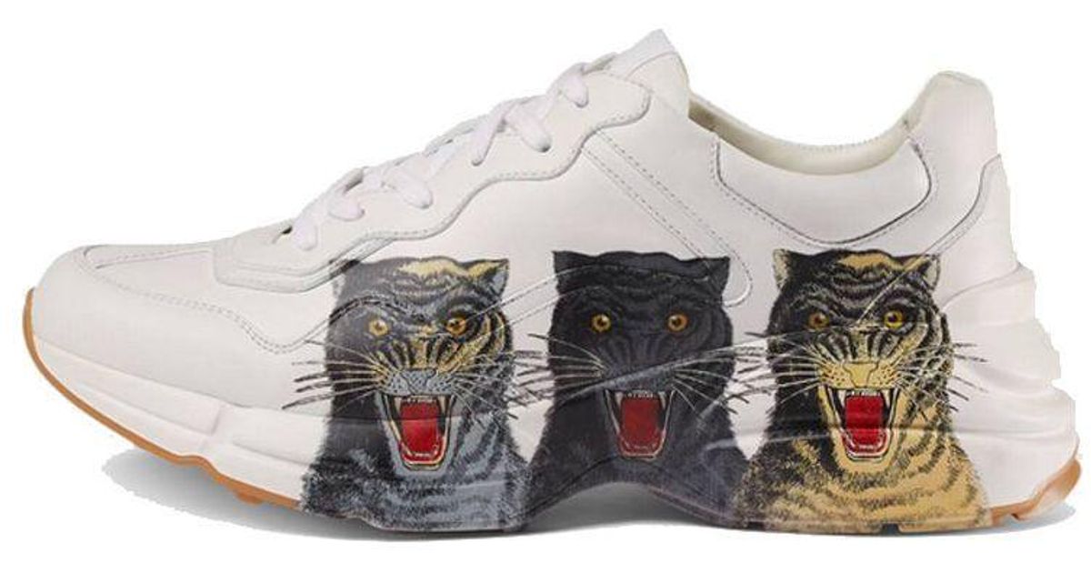 gucci rhyton cat