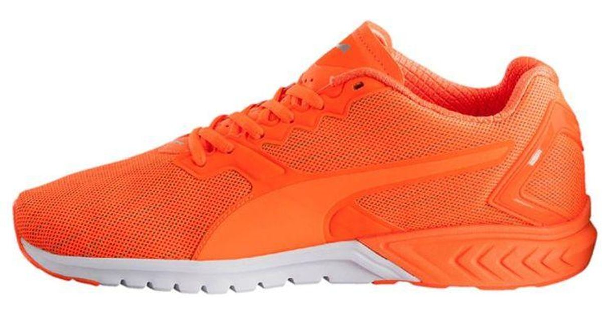 PUMA Ignite Dual Nightcat Low Cut Running Shoes Orange for Men Lyst