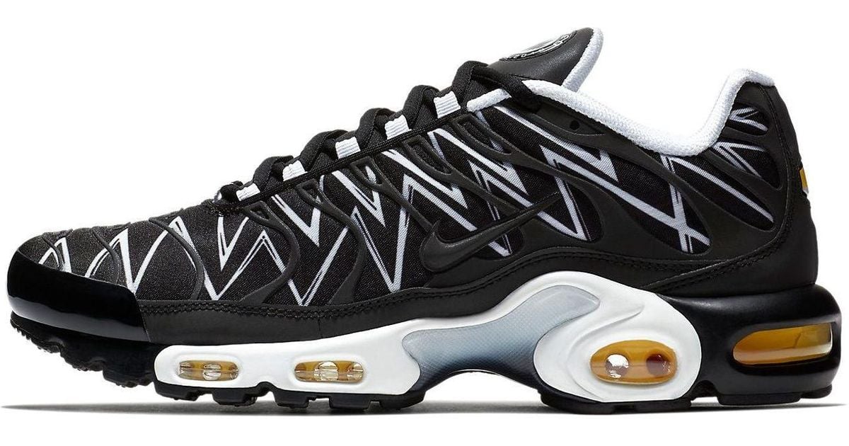 tn black shark