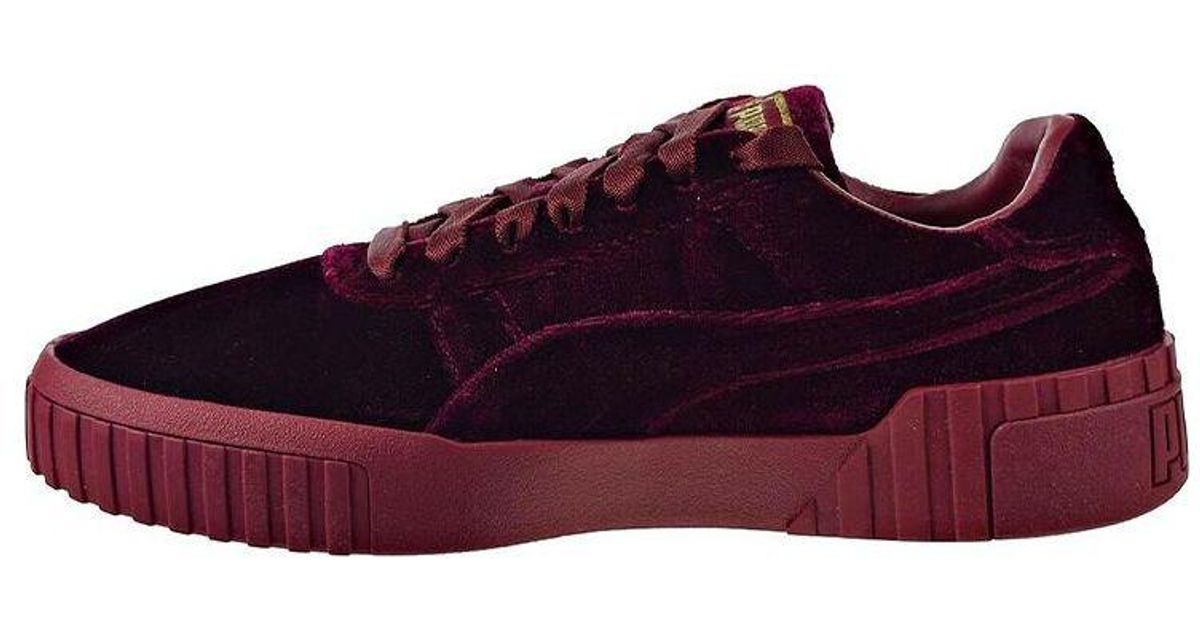cali velvet puma