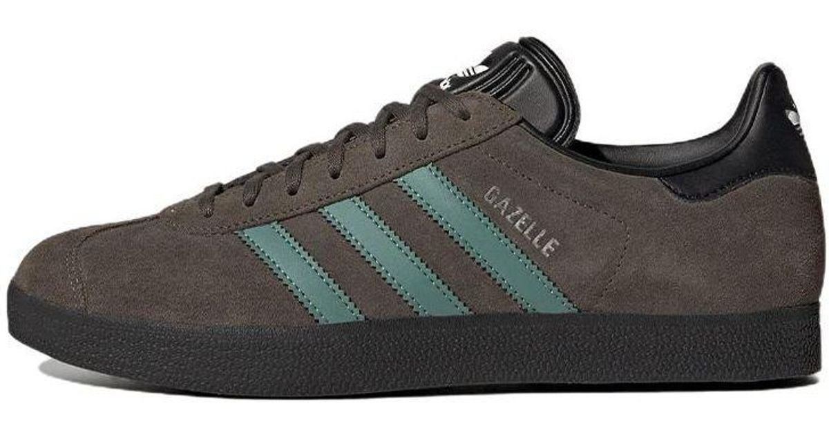 gazelle olive
