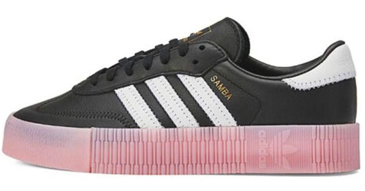 all black samba rose