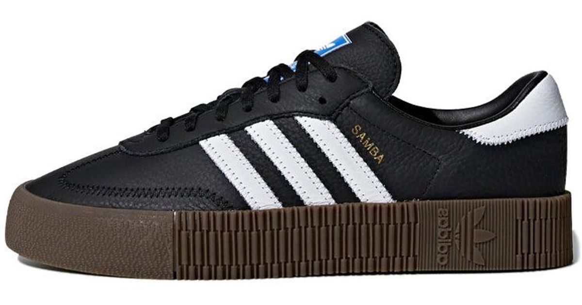 all black samba rose