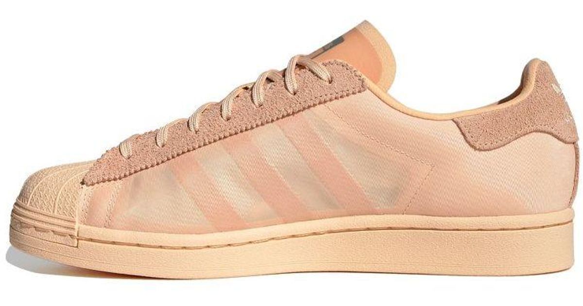 adidas superstar men Orange