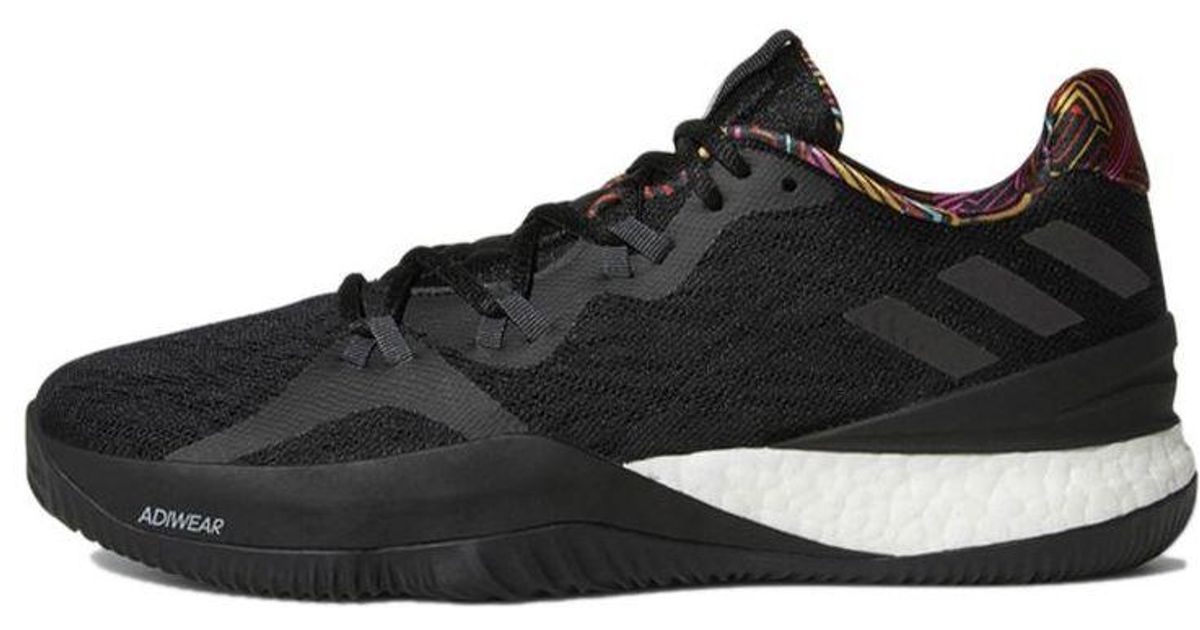 crazylight 2018
