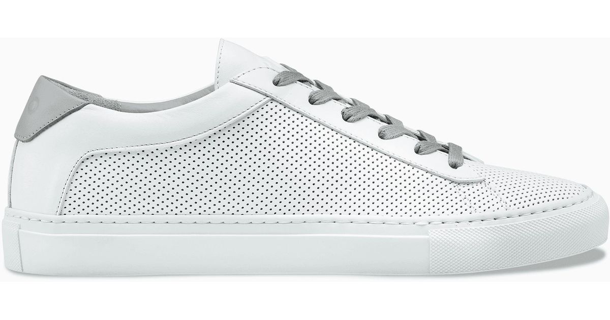 koio perforated