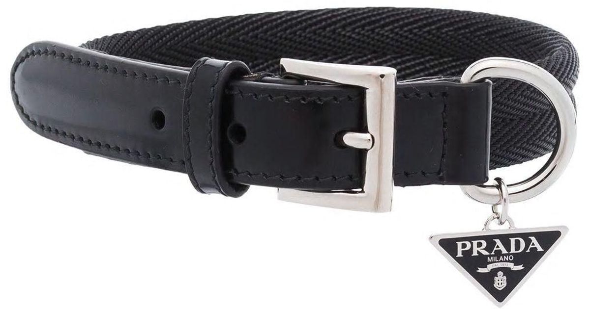 Prada Dog Collar in Black for Men Lyst