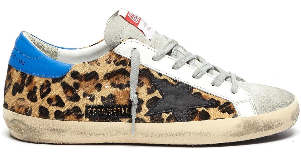 Golden Goose Goose 'superstar' Leopard Print Panelled Sneakers Lyst