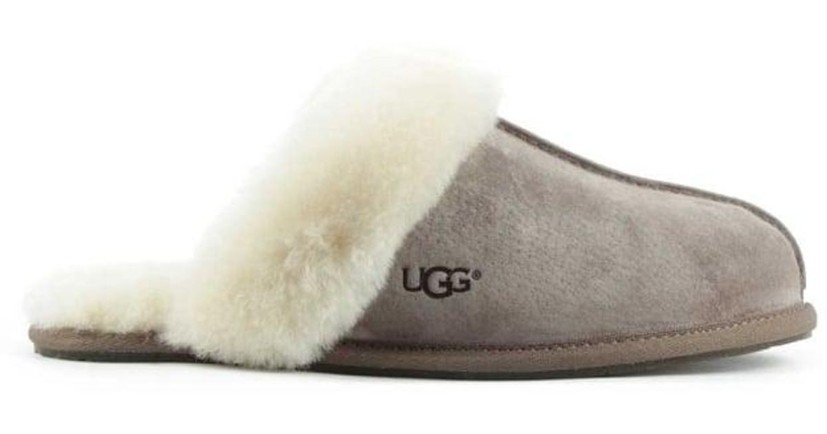 Ugg scuffette slippers stormy grey Clearance
