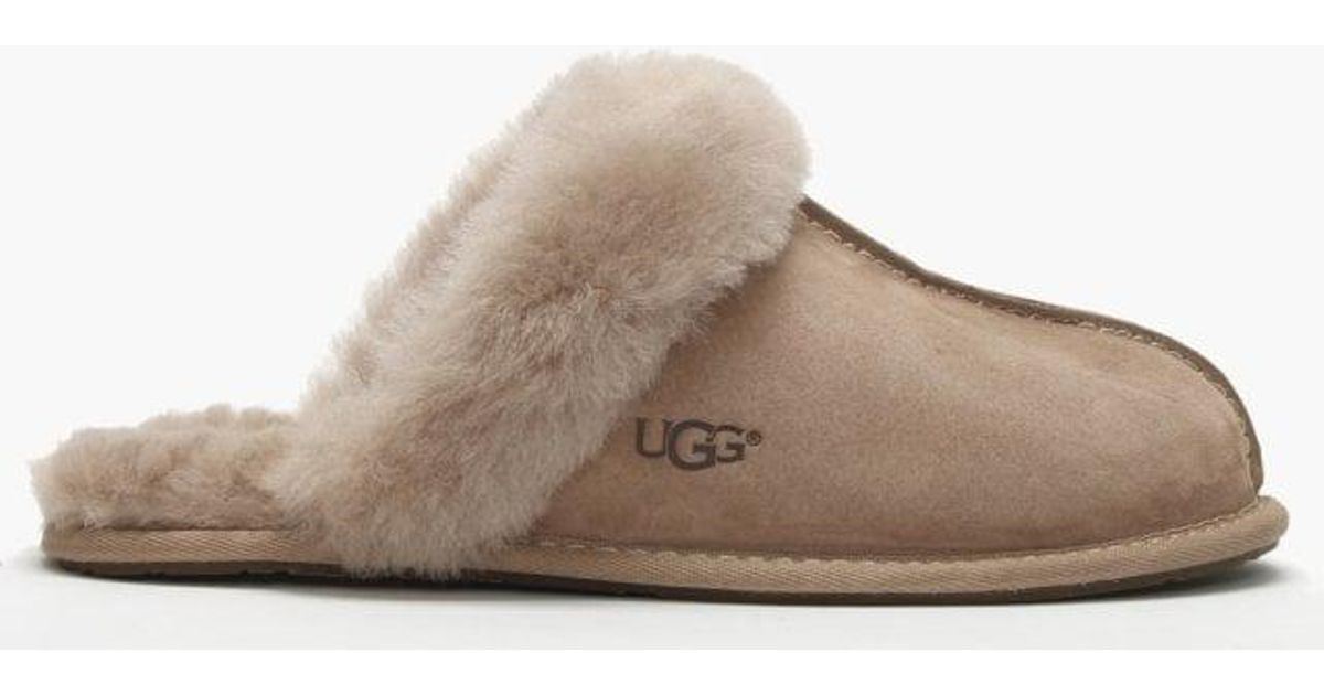 Ugg Scuffette Slippers Taupe Deals, 53% OFF | www.bculinarylab.com
