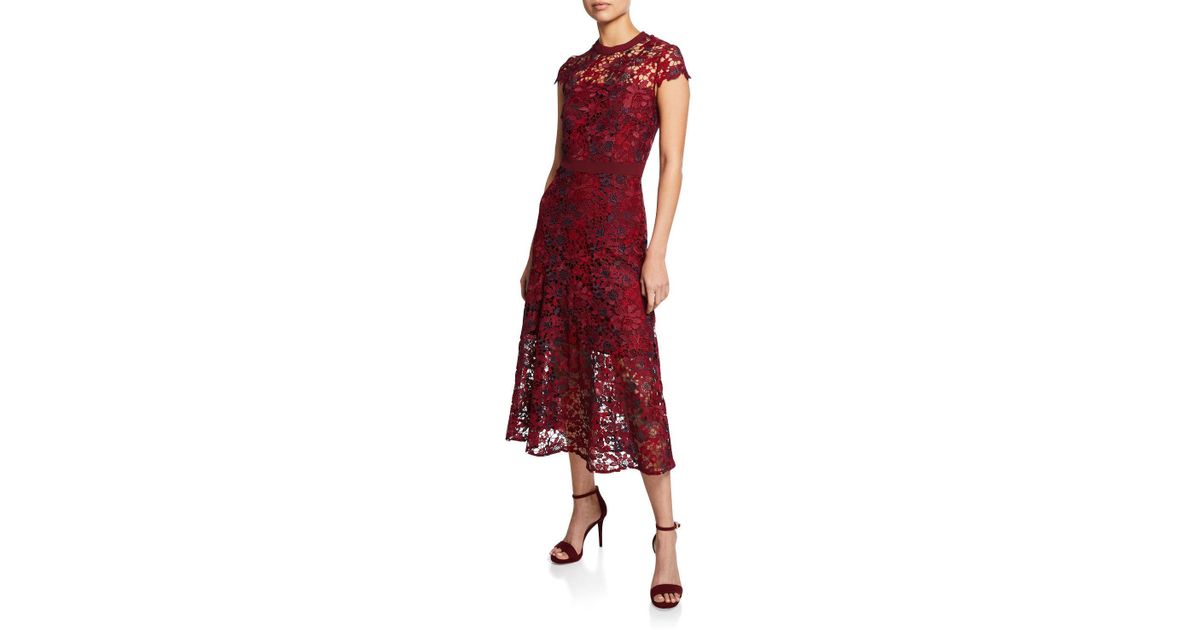 tahari petite dresses macy's