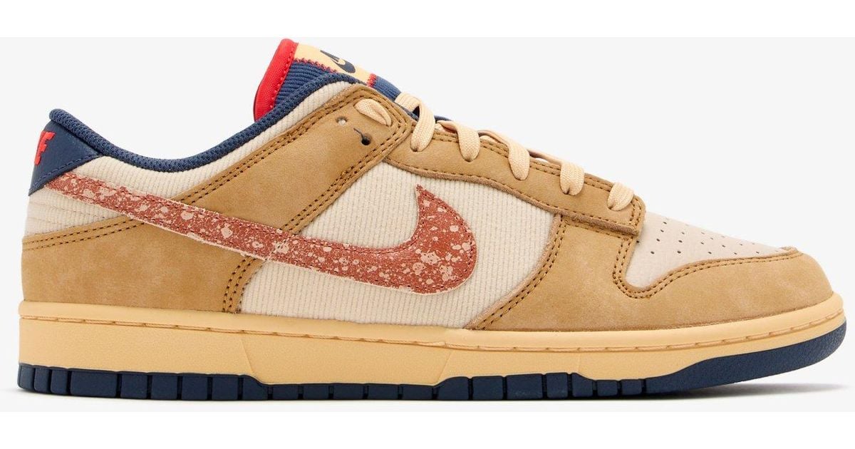 Nike Dunk Low Retro 'Sketch And Exploration' Sneakers in Natural for