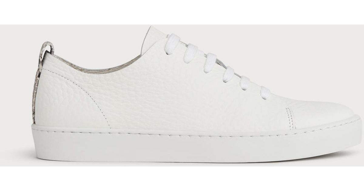 lk bennett jack trainers