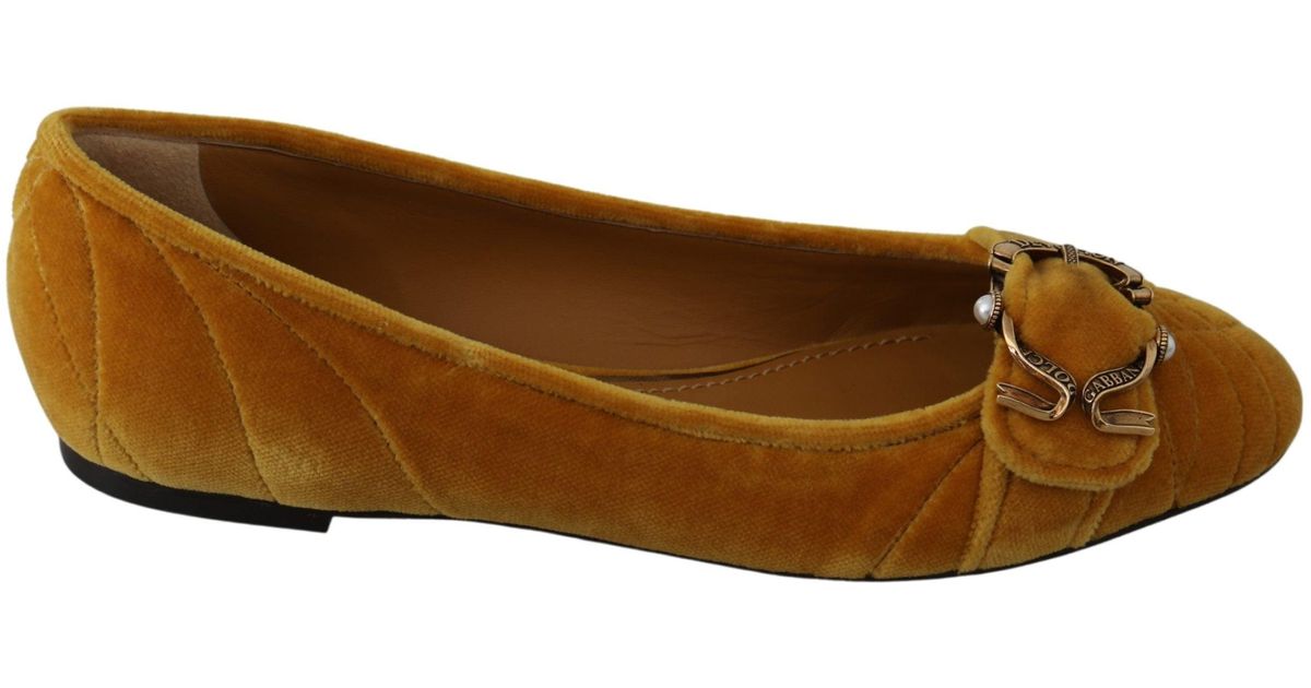 Dolce \u0026 Gabbana Velvet Mustard Devotion 