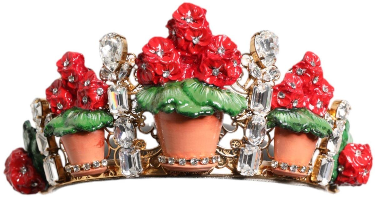 Dolce & Gabbana Floral Flowerpot Crystal Crown Tiara  display picture 2