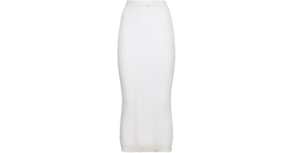 スカート Sportmax ALBUM TRANSPARENT KNITTED SKIRT Album1234 sheer & knit 2-piece skirt - Sportmax - Women