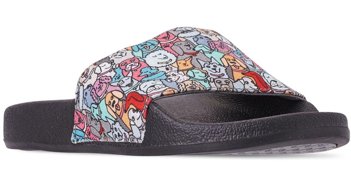 bobs for dogs sandals