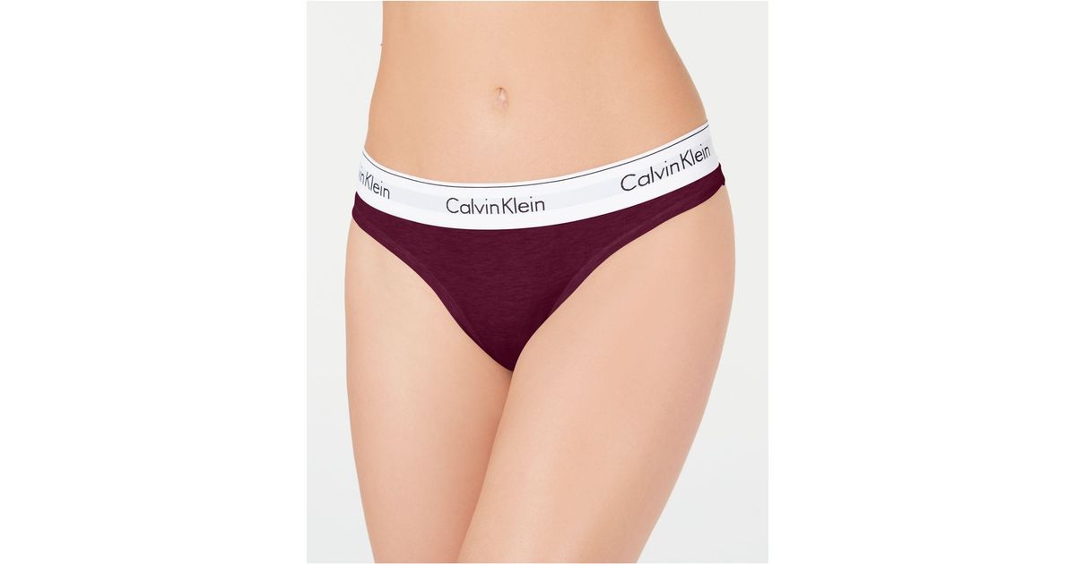 cotton thongs calvin klein