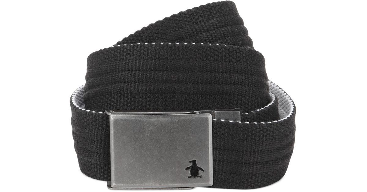 reversible web belt