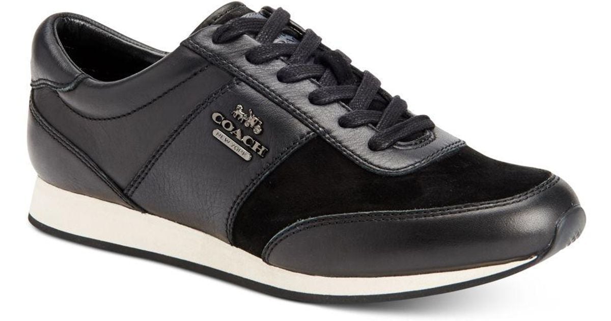 coach sneakers macys