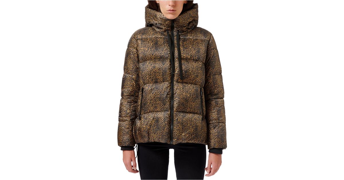 sam edelman leopard coat