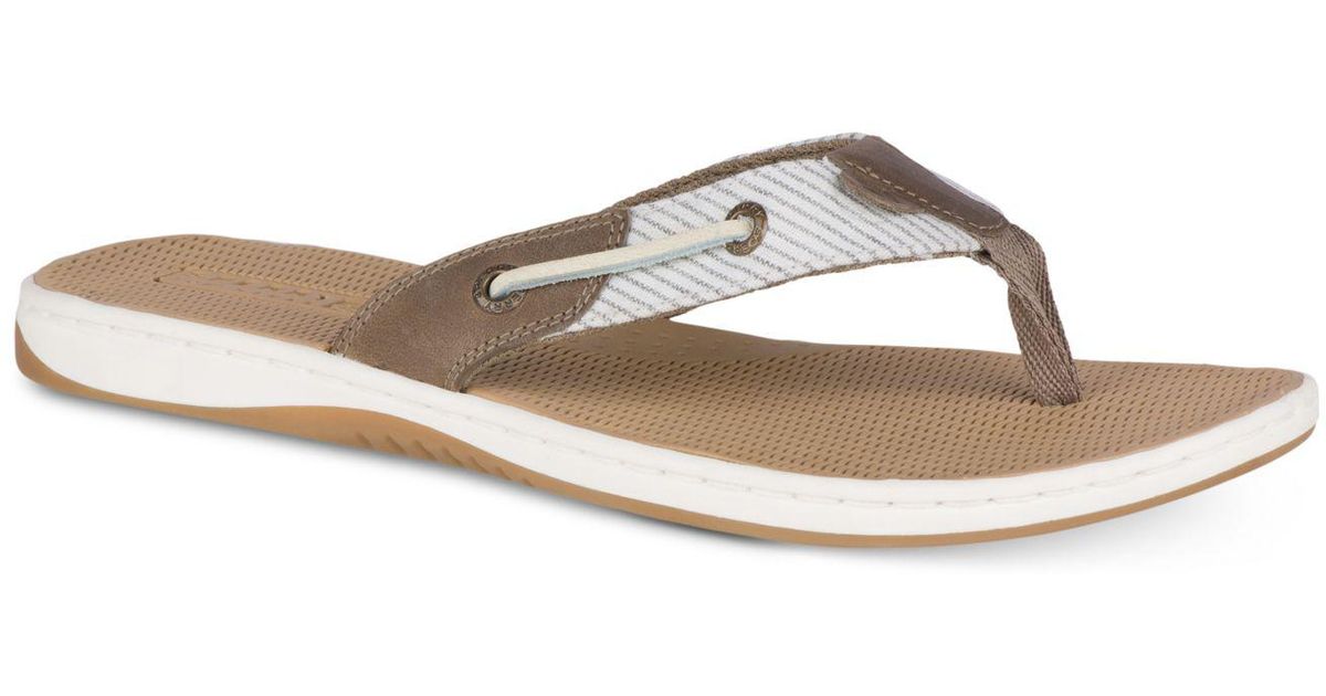 sperry seafish flip flops