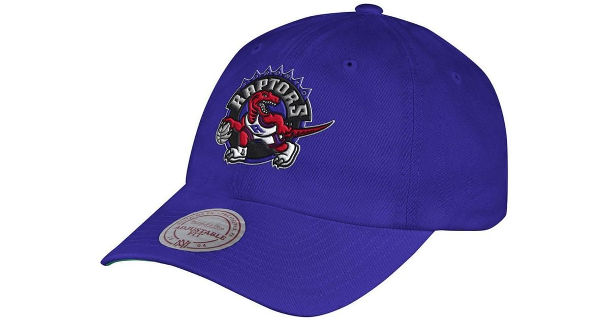raptors dad hat