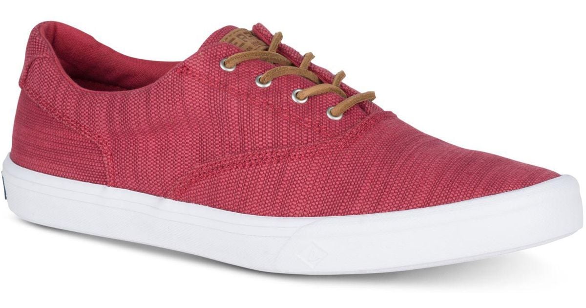 men's striper ii baja cvo sneaker