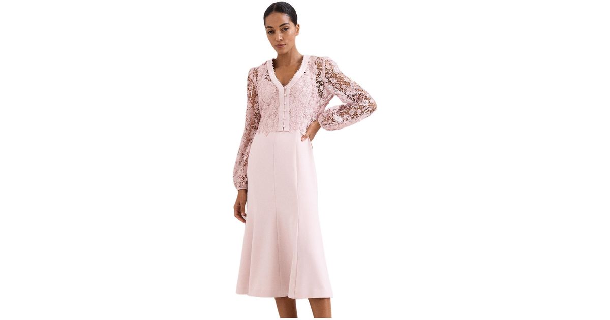 Phase Eight Ayumi Part Lace Midi Dress in Pink | Lyst
