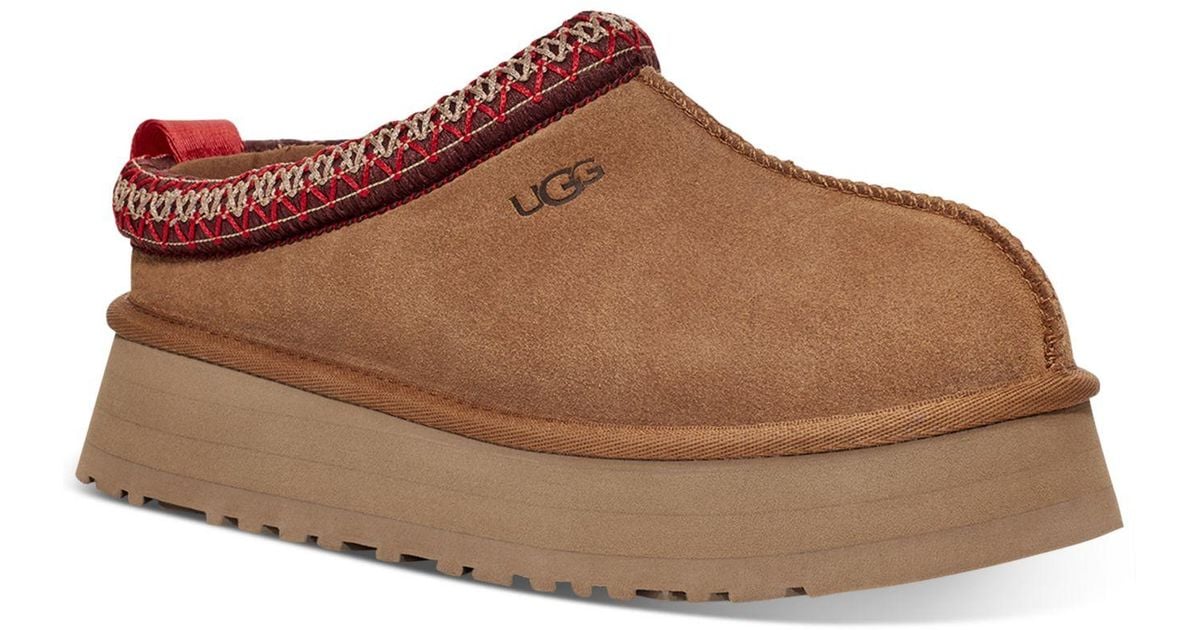uggs tazz brown