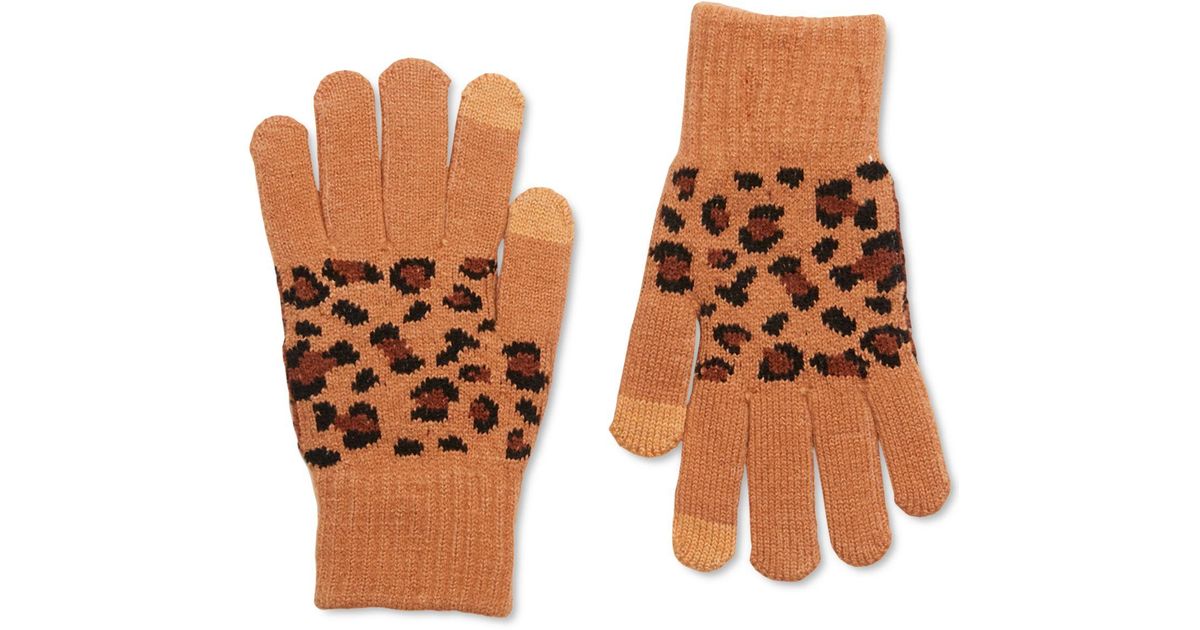 Steve Madden Synthetic Leopard Magic Gloves in Tan (Brown) - Lyst