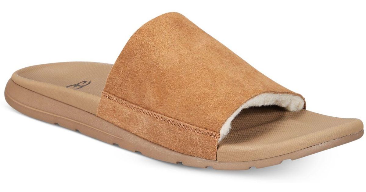 ugg men's xavier tf slide sandal