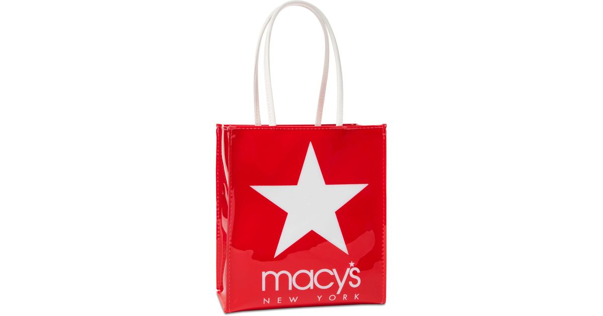 macys lunch tote
