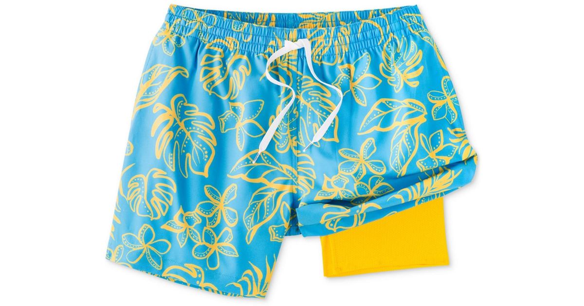 Chubbies Arboretum 5.5