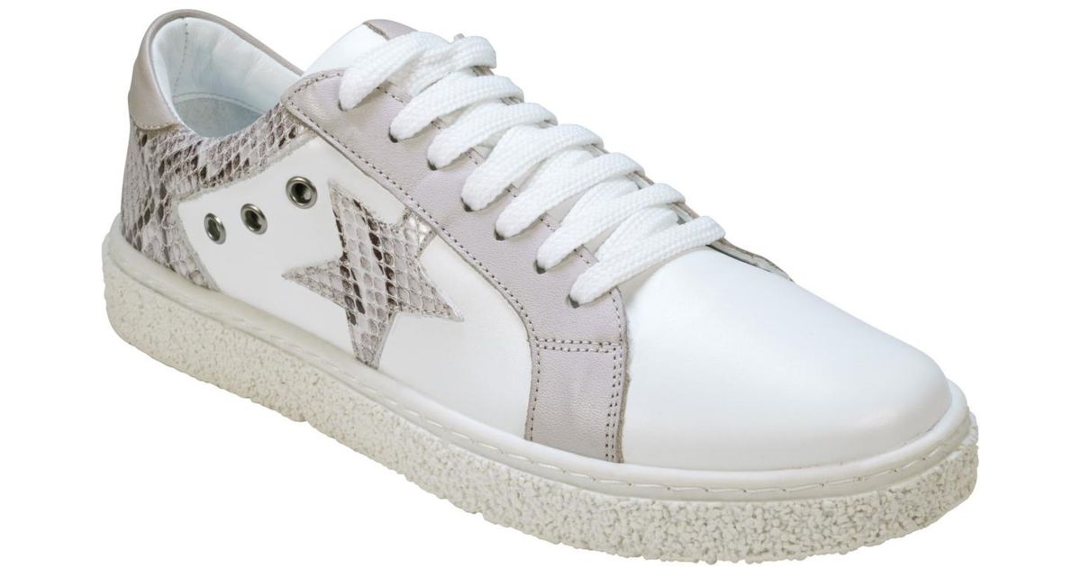 Cools Rolande Cools 21 Charlee Snakeskin Two-tone Star Motif Lace Up Sneakers in ...
