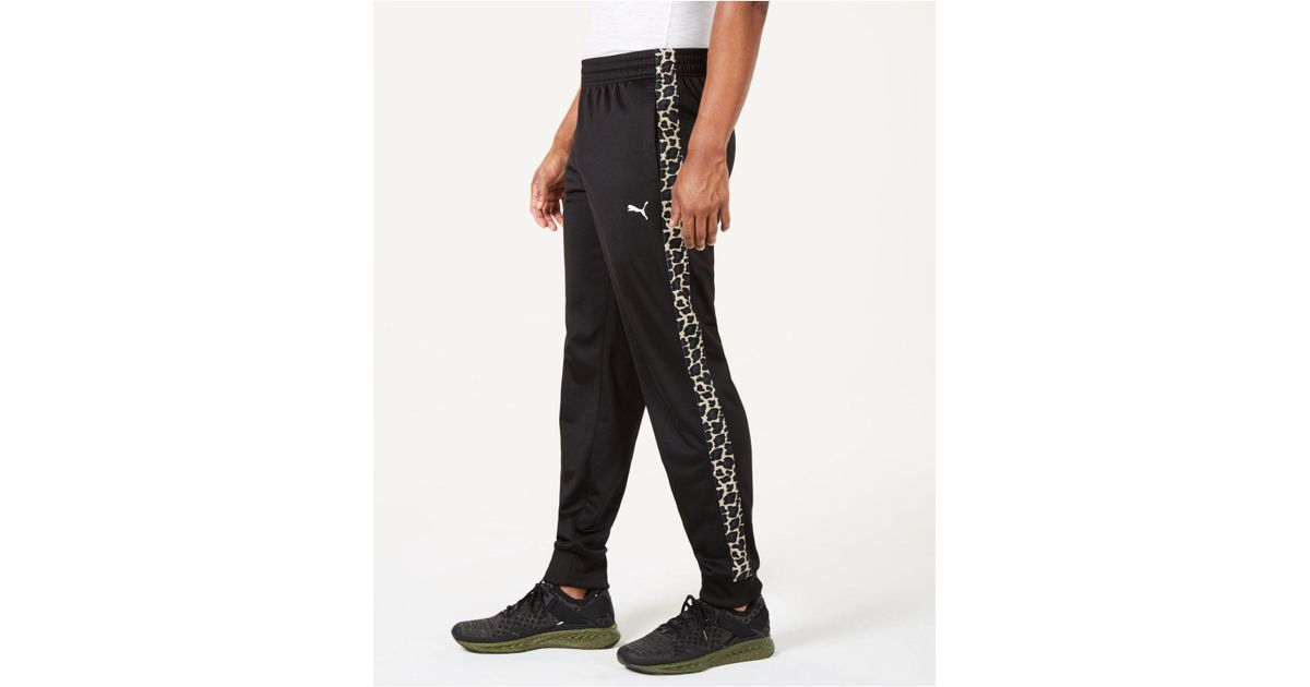 PUMA Cheetah-stripe Track Pants in Black for Men | Lyst