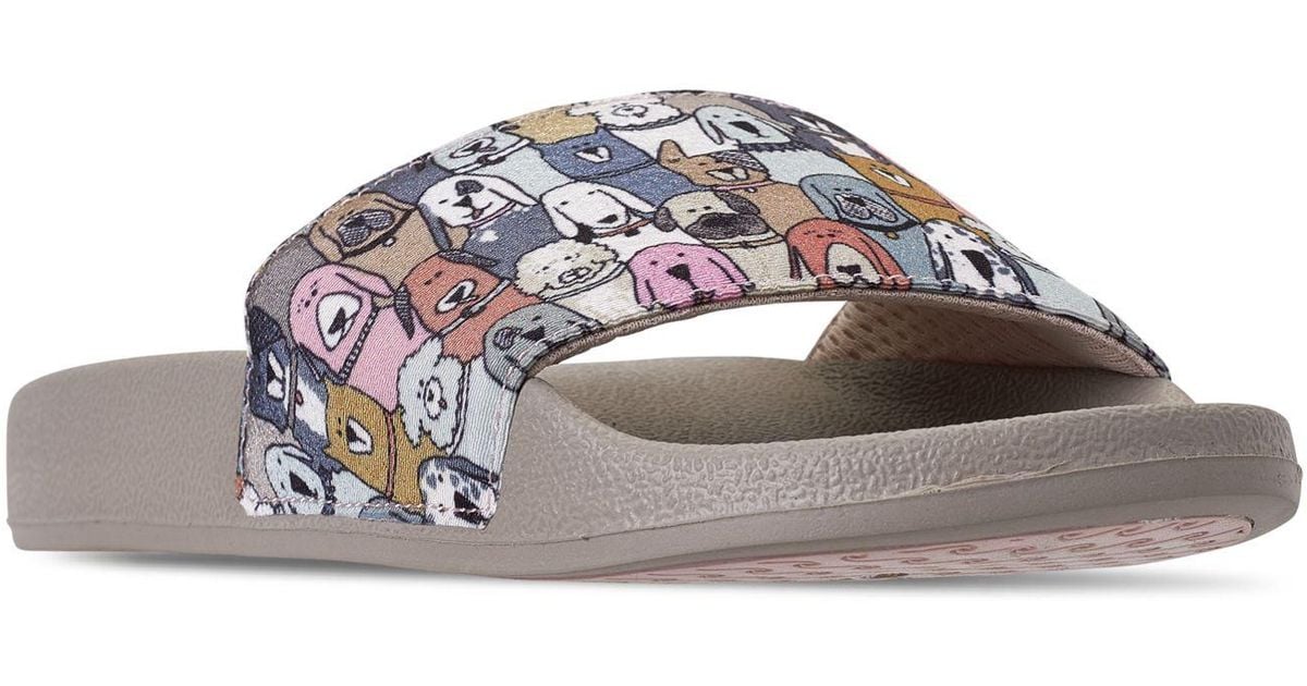 Skechers Rubber Bobs For Dogs And Cats Pop Ups Doggy Paddle Slide