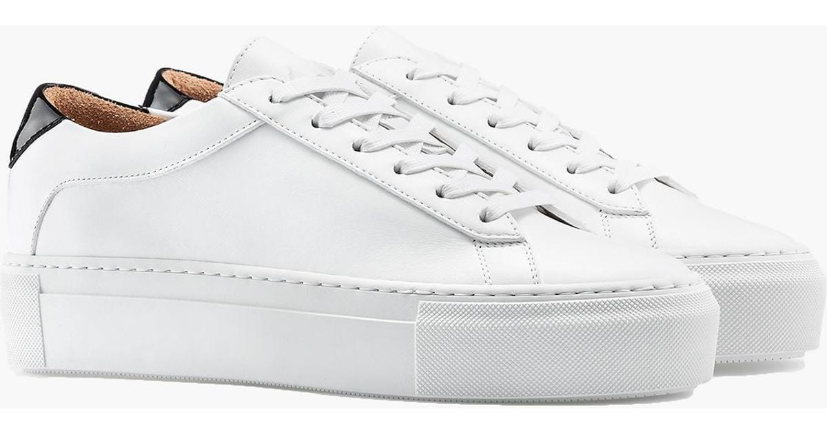 koio sneakers canada
