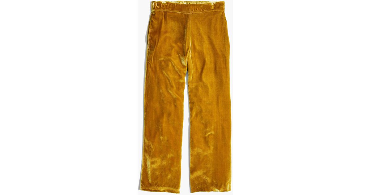 velvet pull on pants