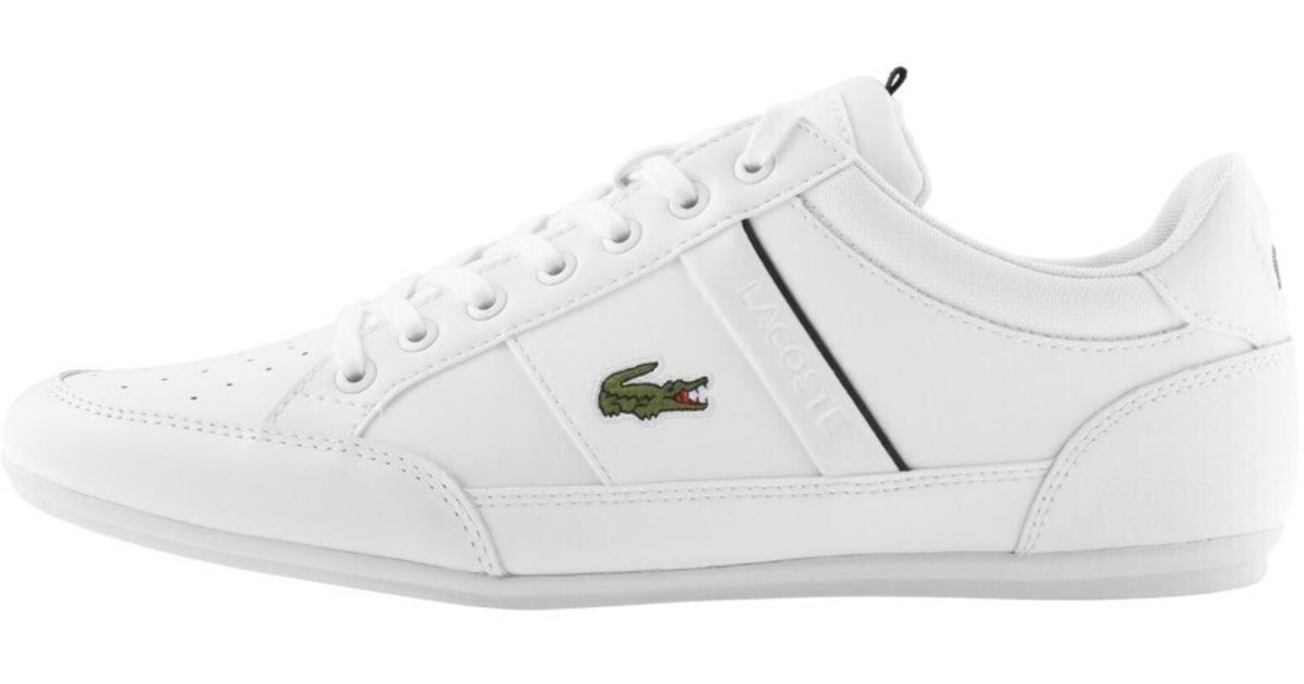 Chaymon lacoste white best sale