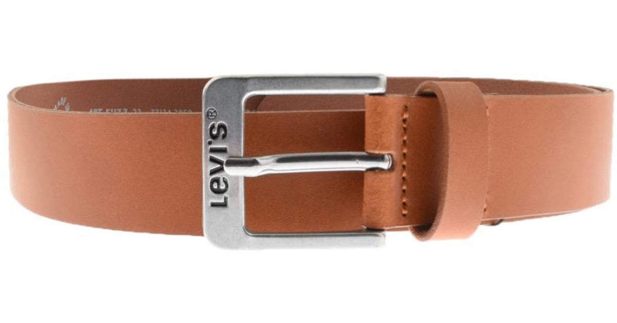 levis brown belt