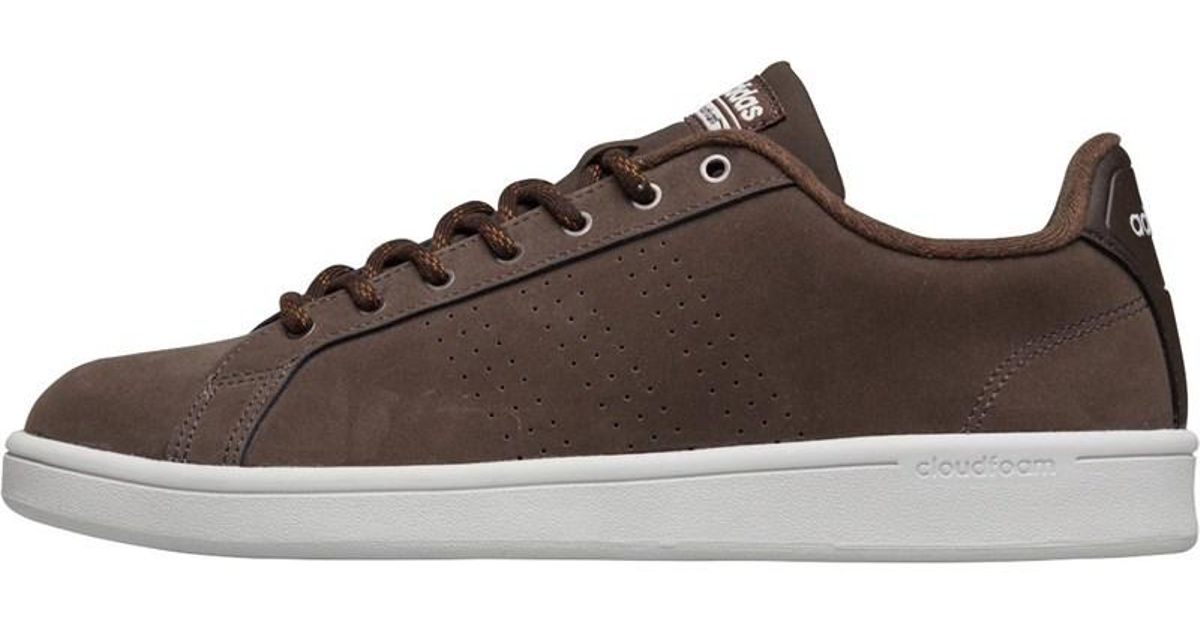adidas advantage brown