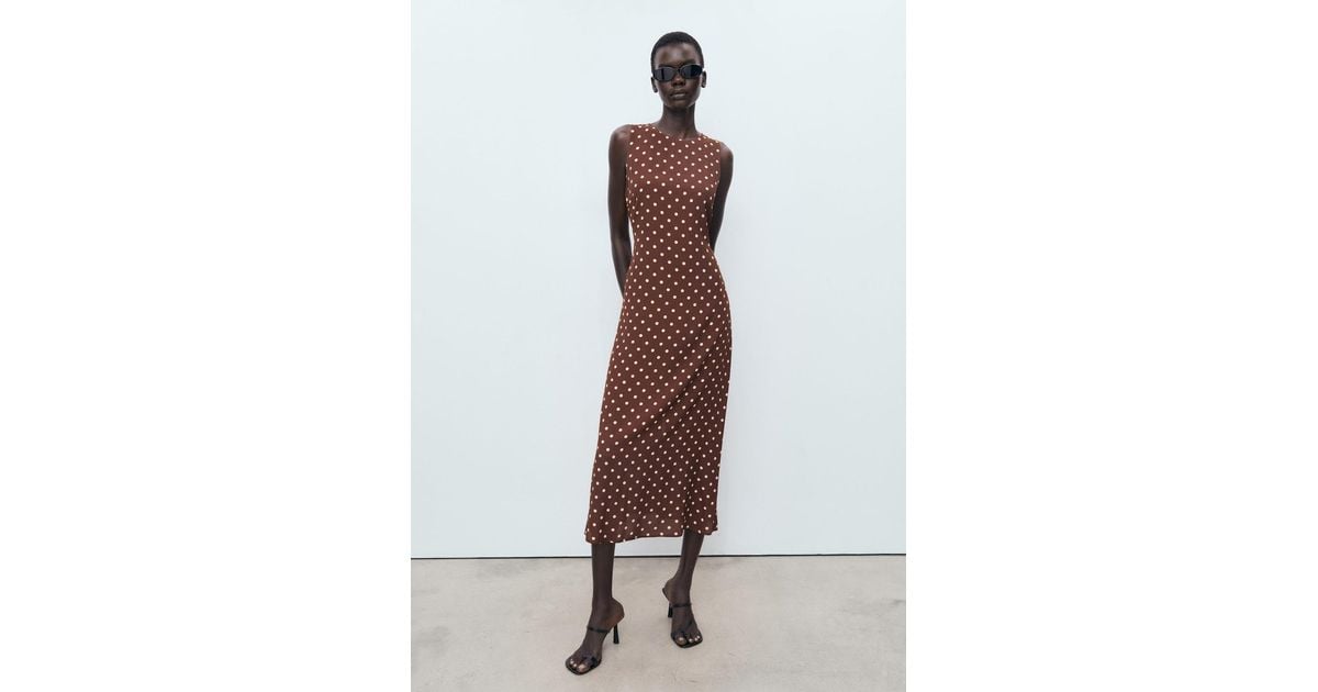 Mango Polka-Dot Dress With Bow in Brown
