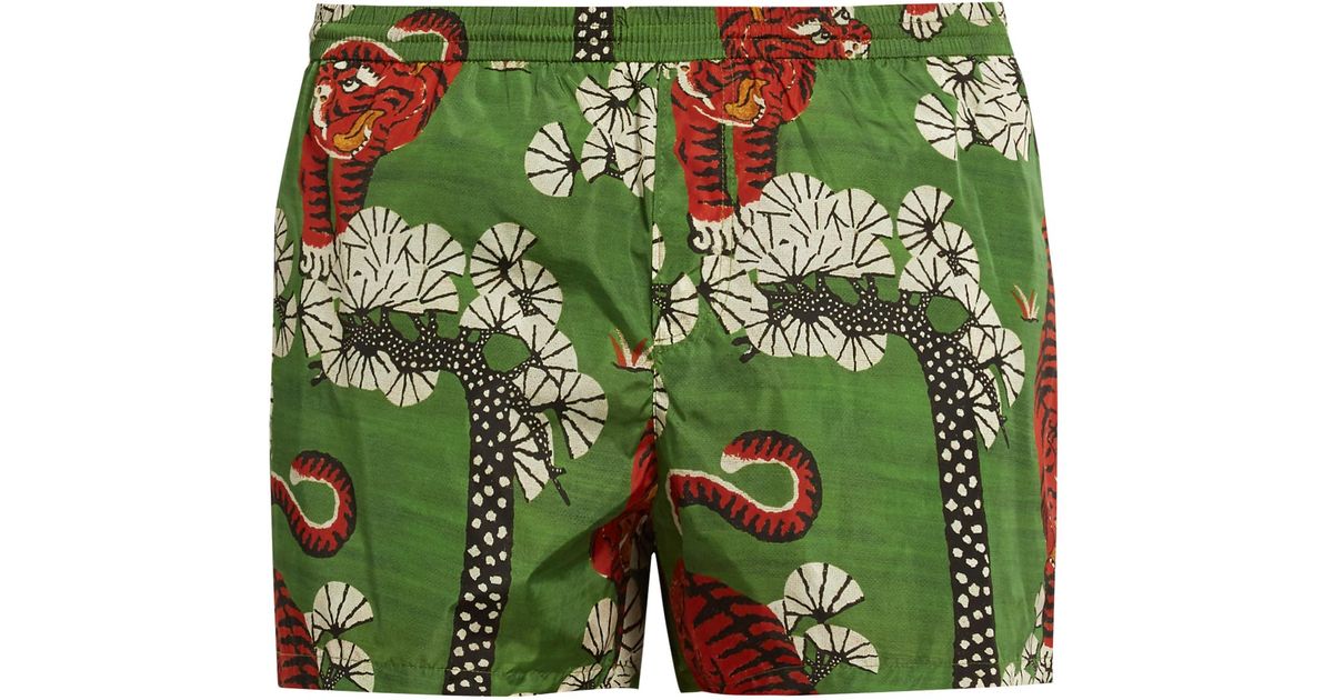 gucci tiger swim trunks