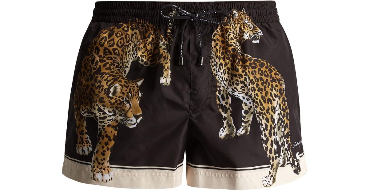 leopard print swim shorts