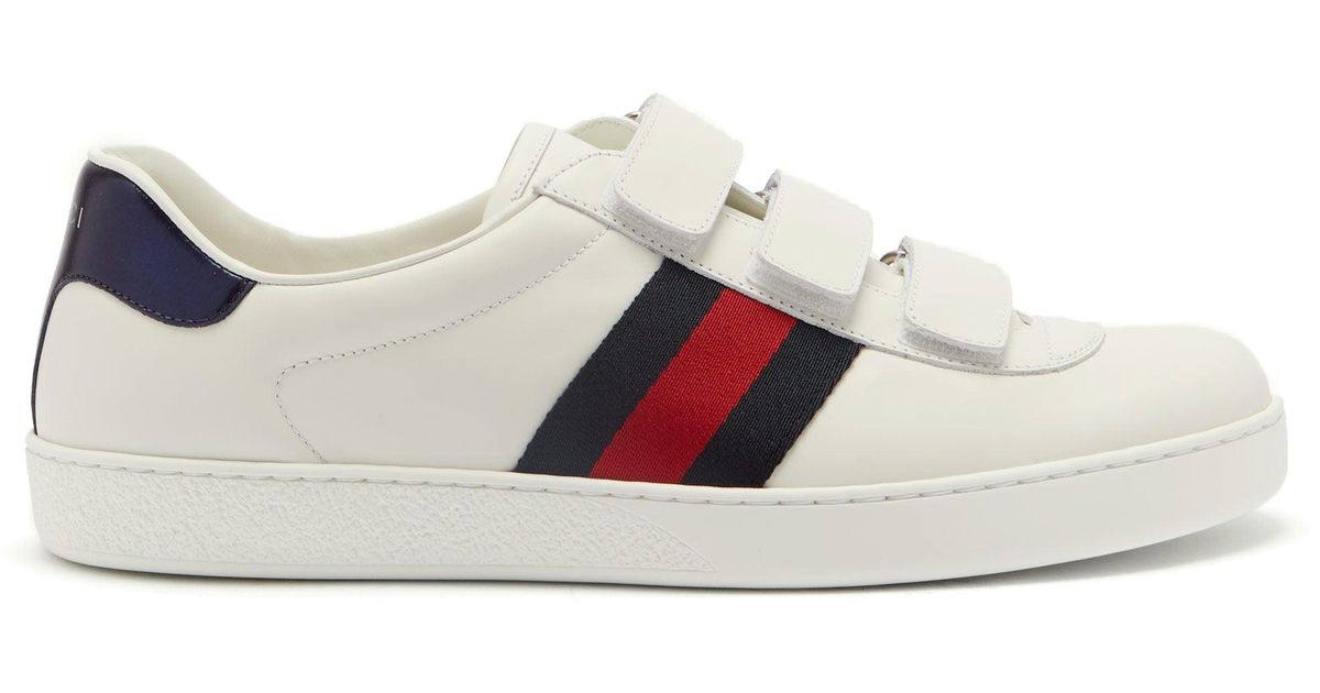 gucci new ace web sneakers