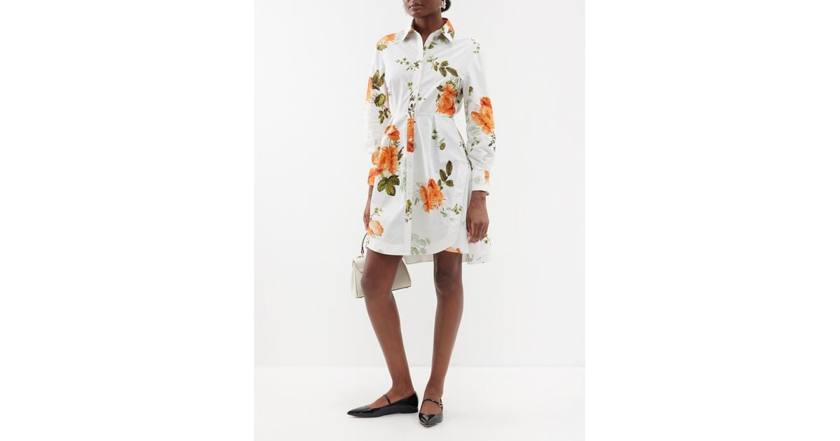Rose sales poplin shirtdress
